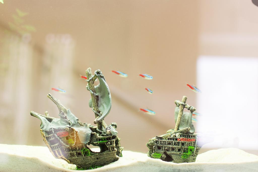 Porto SantʼElpidio Il Giglio Verde المظهر الخارجي الصورة